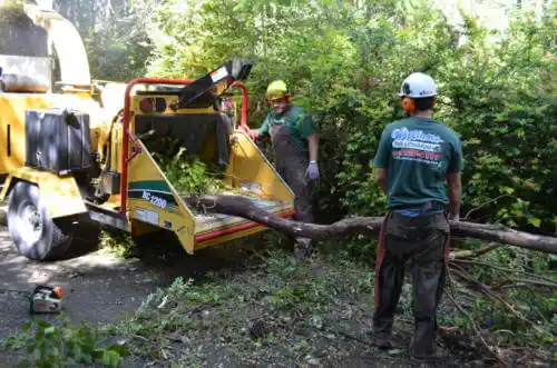 tree services Leary